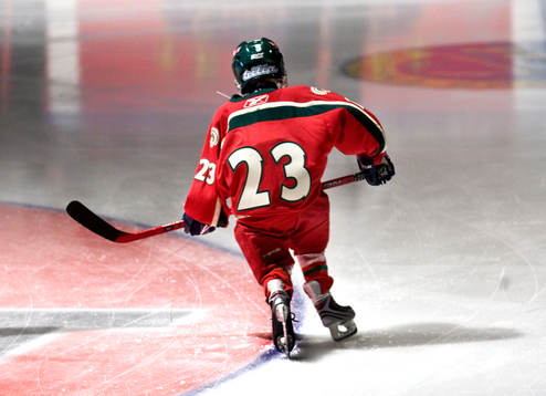 Bläddra bland fler bilder av Ishockey, Elitserien, Frölunda - Södertälje