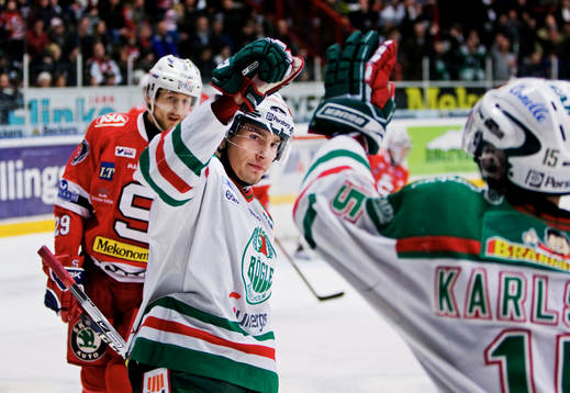 Mattias Sjögren, Rögle, jubel