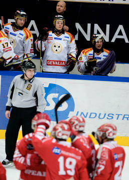 Brynäs depp