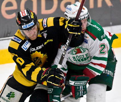 Fredrik Krekula, Skellefteå och Chris Abbott, Rögle