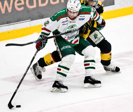 Peter Högardh, Rögle