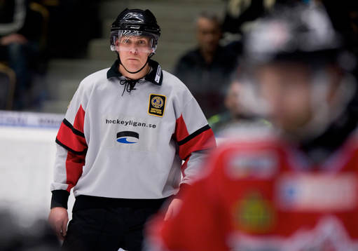 Domare Morgan Johansson