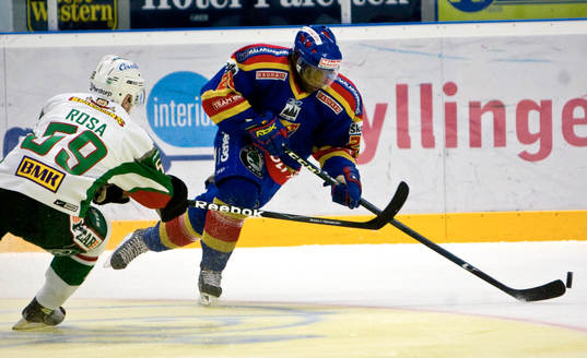 Carl Gustafsson, Djurgården