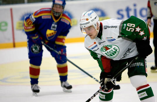 Pavel Rosa, Rögle