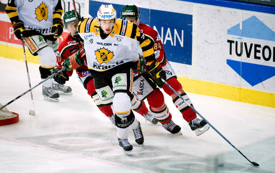David Rundblad, Skellefteå