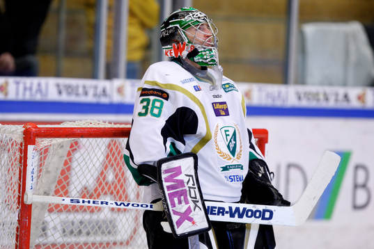 Reinhard Divid, Målvakt