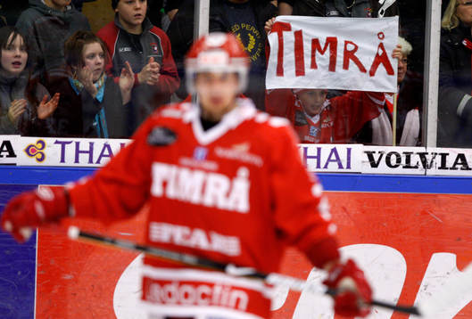 Timrå supporter