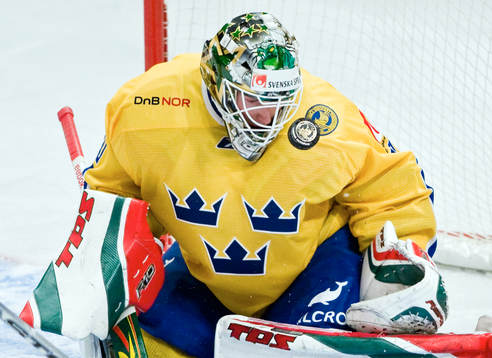 Johan Holmqvist, målvakt