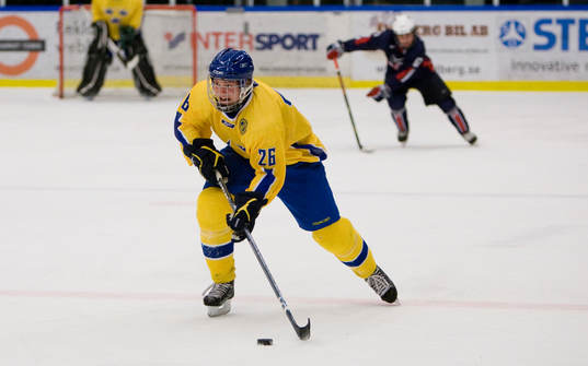 Jacob Josefsson, Sverige