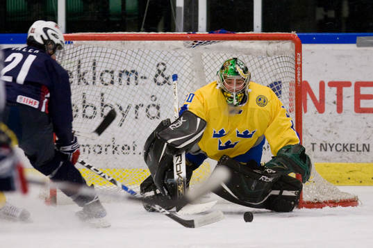 Johan Gustafsson, målvakt Sverige