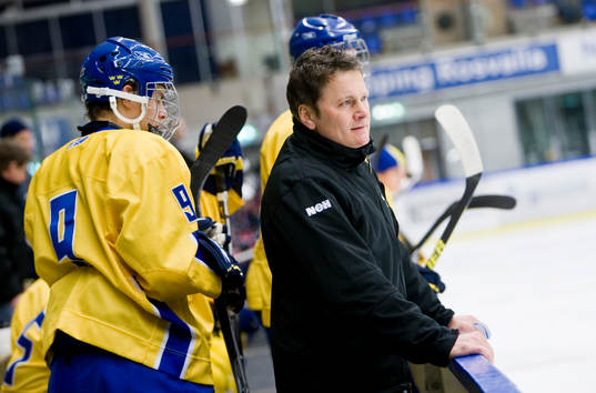 Stephan Lundh, tränare