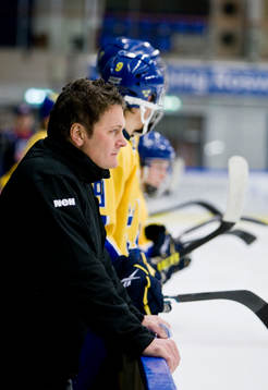 Stephan Lundh, tränare
