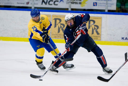 Henrik Andersen, Sverige