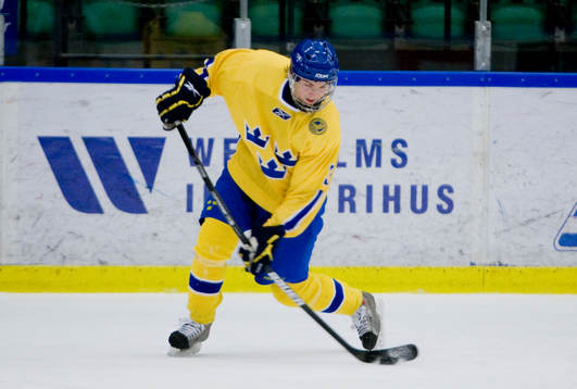 Simon Bertilsson, Sverige