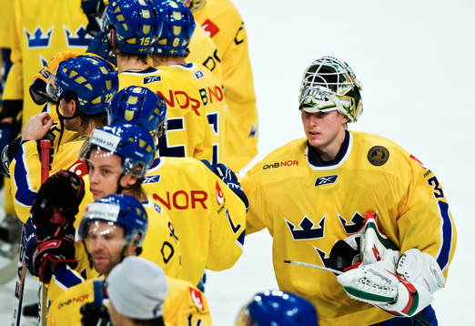 Johan Holmqvist, målvakt