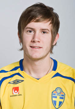 Niklas Johansson, Sverige