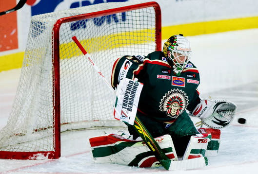 Johan Holmqvist, målvakt