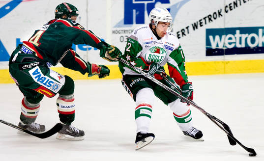 Peter Högardh, Rögle, hakning
