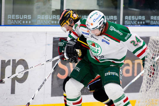 Andreas Dackell, Brynäs och Richard Demén-Willaume, Rögle