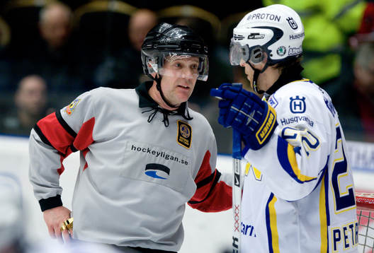 Thomas Andersson, Domare i samtal med David Petrasek, HV71