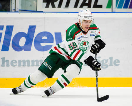 Pavel Rosa