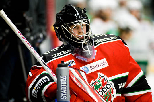 Niklas Svedberg, målvakt