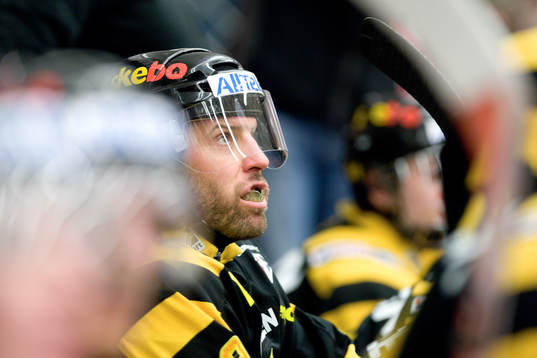 Mikael Renberg, Skellefteå depp