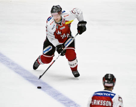 Ishockey, allsvenskan, Malmö - Almtuna