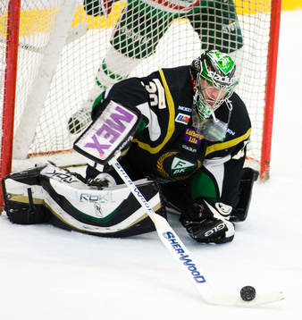Reinhard Divis, målvakt, Färjestad