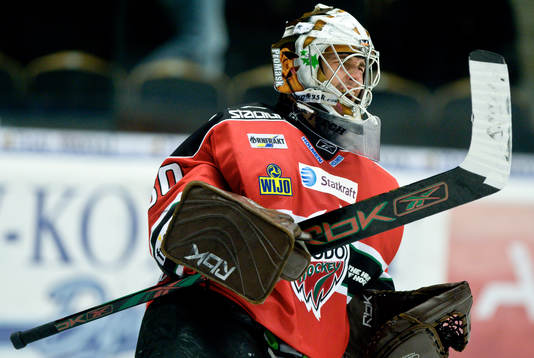 Michal Zajkowski, Målvakt, jubel