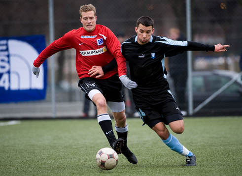 Guillermo Molins, Malmö