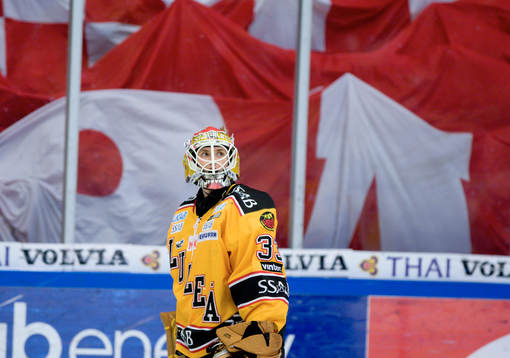 Mattias Lodig, Målvakt, Luleå