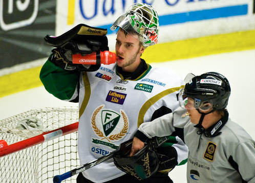 Jonas Gustavsson,  målvakt, Färjestad