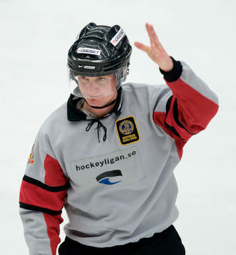 Marcus Vinnerborg, Domare