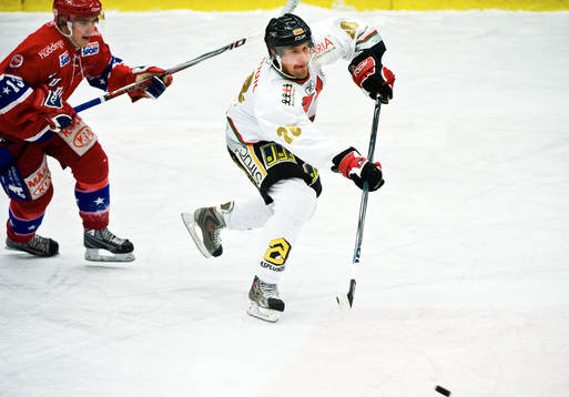 Fredric Andersson, Huddinge och Mikael Svensk, Örebro