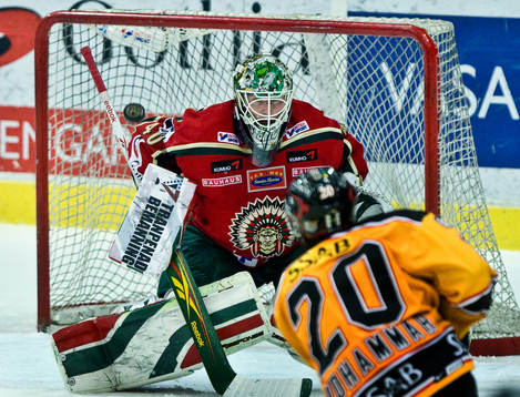 Johan Holmqvist, målvakt