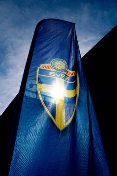 Fotboll, SVFF, Svenska fotbollförbundet, årsmöte