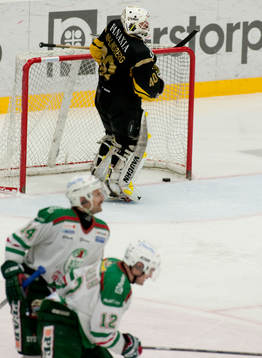 Peter Högardh och Mikael Gath, Rögle, jubel
