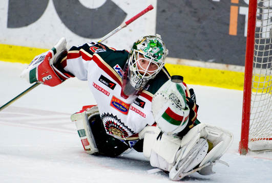 Johan Holmqvist, målvakt, Frölunda