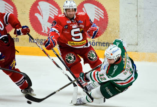 Stefan Bemström, Södertälje och Peter Högardh, Rögle