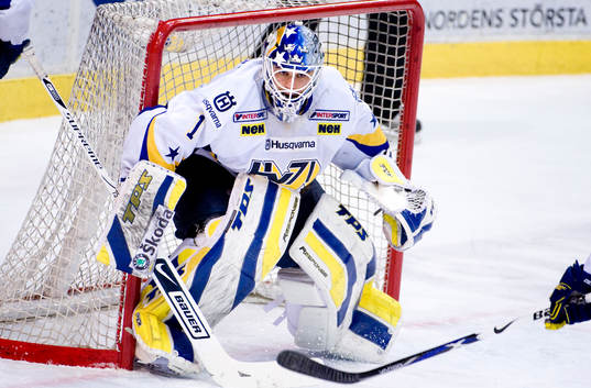 Stefan Liv, målvakt