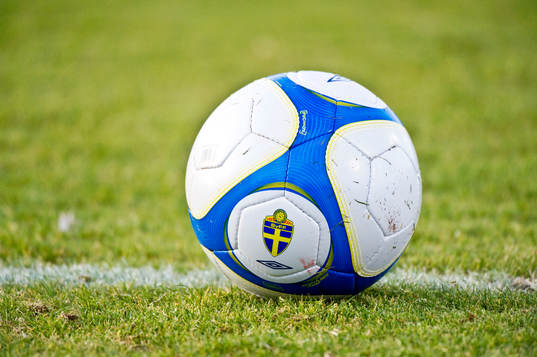 Boll, gräs, gräsplan, linje, Svenska Fotbollförbundet,