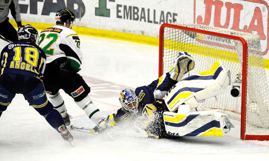 Stefan Liv, målvakt, Nicholas Angell, HV71, Pär Åslund,