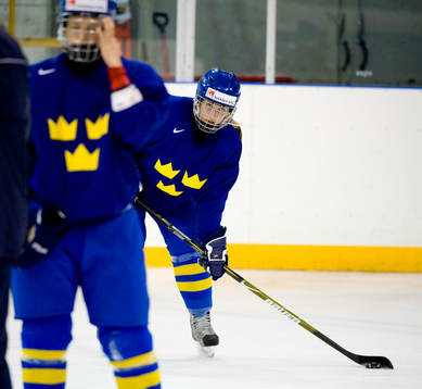 Danijela Rundqvist, Sverige