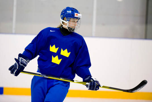 Danijela Rundqvist, Sverige