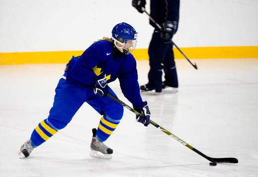 Danijela Rundqvist, Sverige