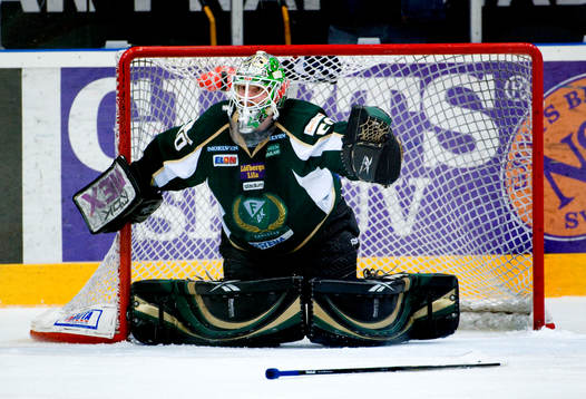 Jonas Gustavsson, målvakt, har tappat klubban