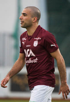 Arash Bayat, Qviding