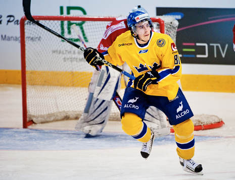 Mattias Weinhandl, Sverige