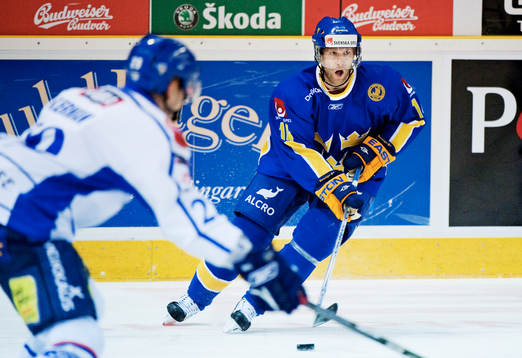 Niklas Nordgren, Sverige